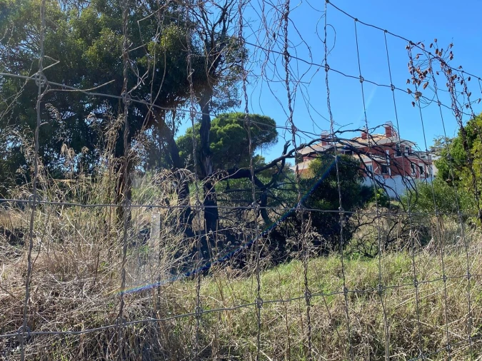 Terreno para Venda em Cascais e Estoril Foto 30