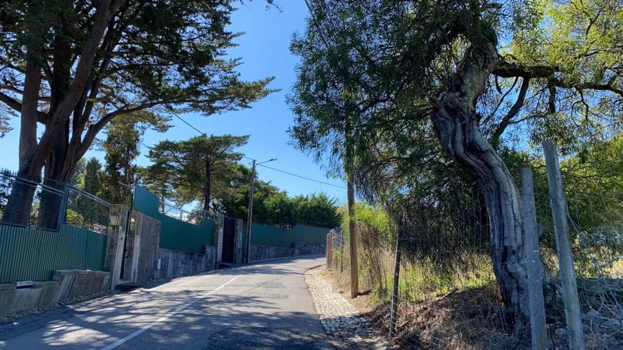 Terreno para Venda em Cascais e Estoril Foto 38