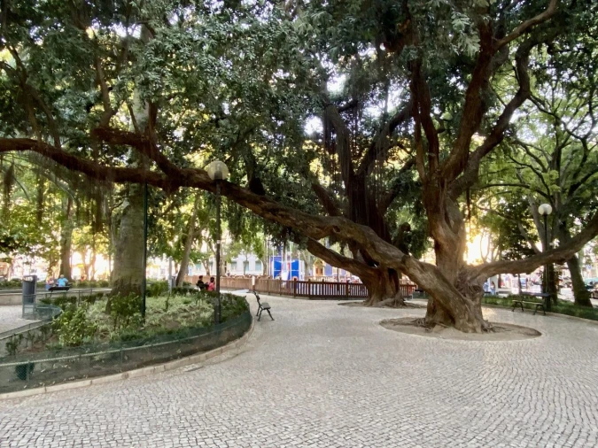 Apartamento T2 para Venda em Misericórdia Foto 14