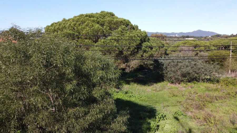Terreno para Venda em Cascais e Estoril Foto 32