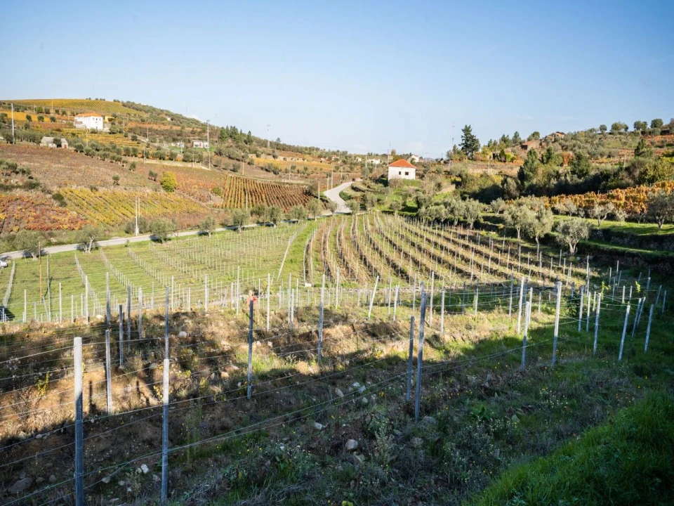 Moradia T3 para Venda em Barcos e Santa Leocádia Foto 22