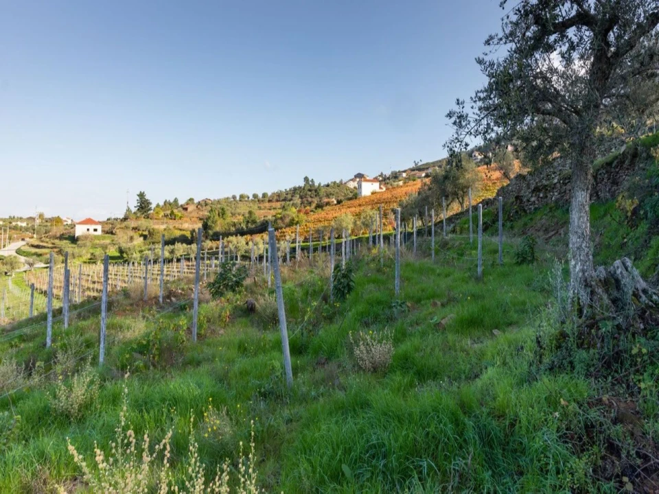 Moradia T3 para Venda em Barcos e Santa Leocádia Foto 26