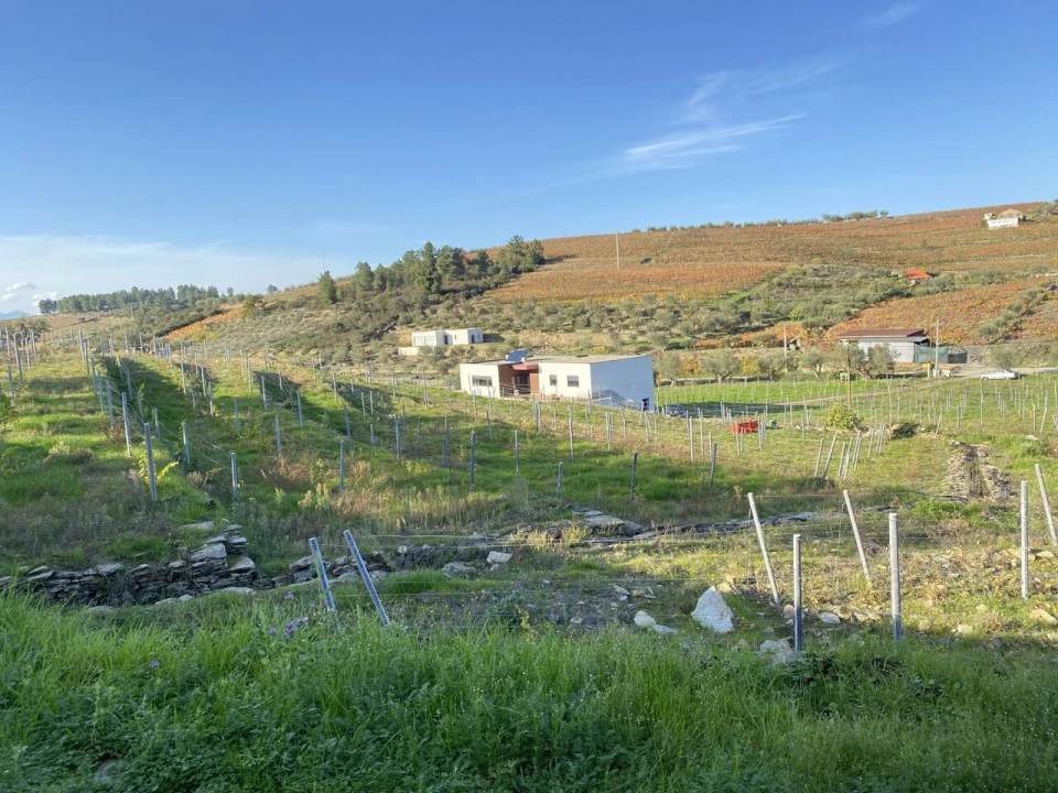 Moradia T3 para Venda em Barcos e Santa Leocádia Foto 27