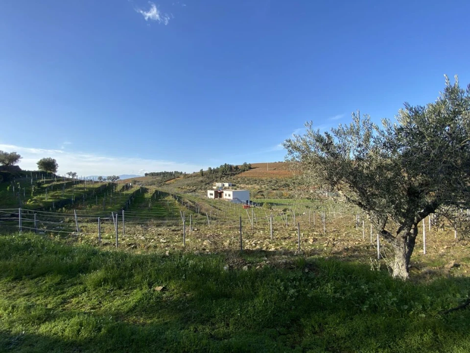 Moradia T3 para Venda em Barcos e Santa Leocádia Foto 30