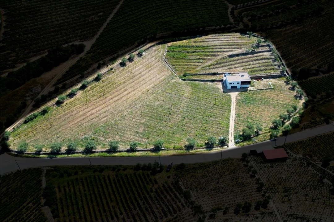 Moradia T3 para Venda em Barcos e Santa Leocádia Foto 2