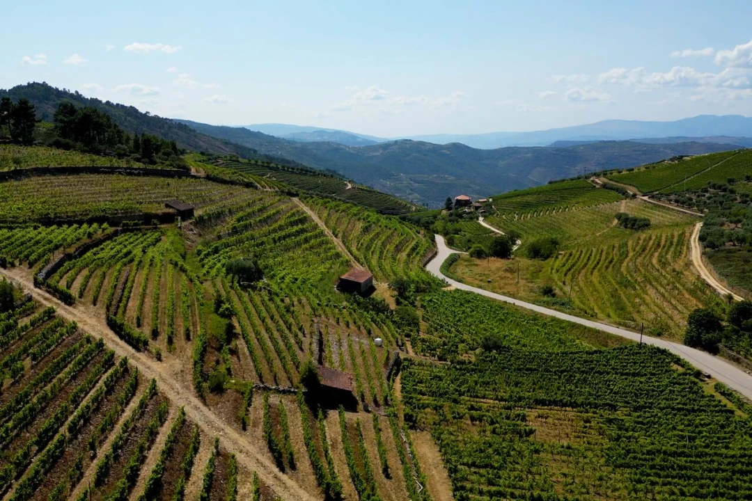 Moradia T3 para Venda em Barcos e Santa Leocádia Foto 37