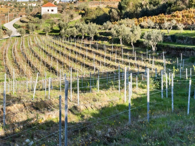 Moradia T3 para Venda em Barcos e Santa Leocádia Foto 21