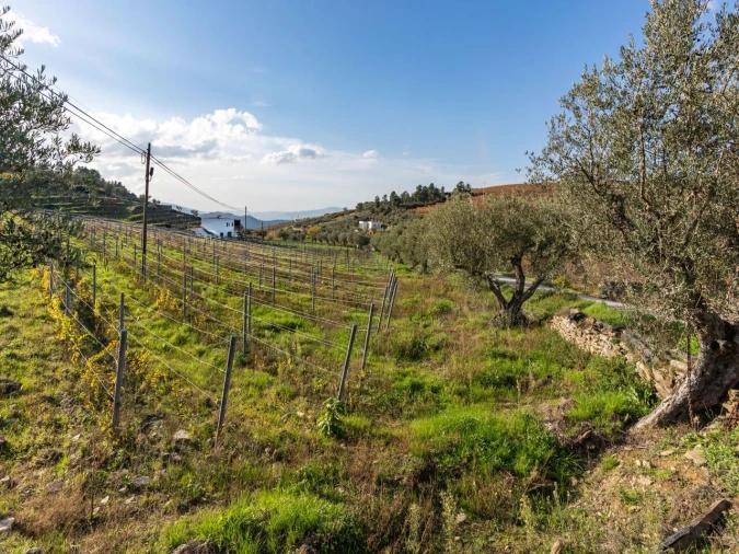 Moradia T3 para Venda em Barcos e Santa Leocádia Foto 23