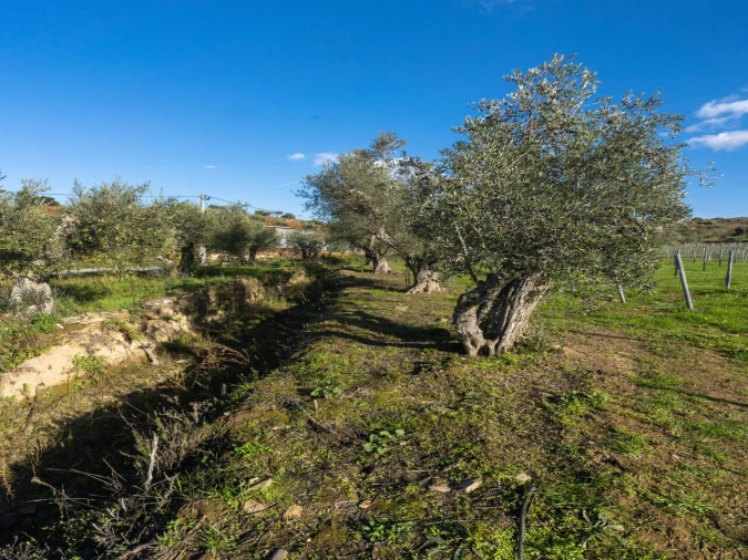 Moradia T3 para Venda em Barcos e Santa Leocádia Foto 25