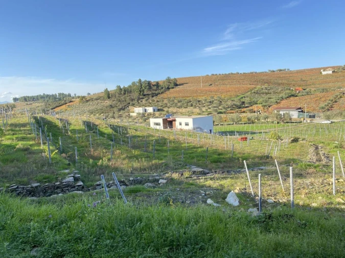 Moradia T3 para Venda em Barcos e Santa Leocádia Foto 27