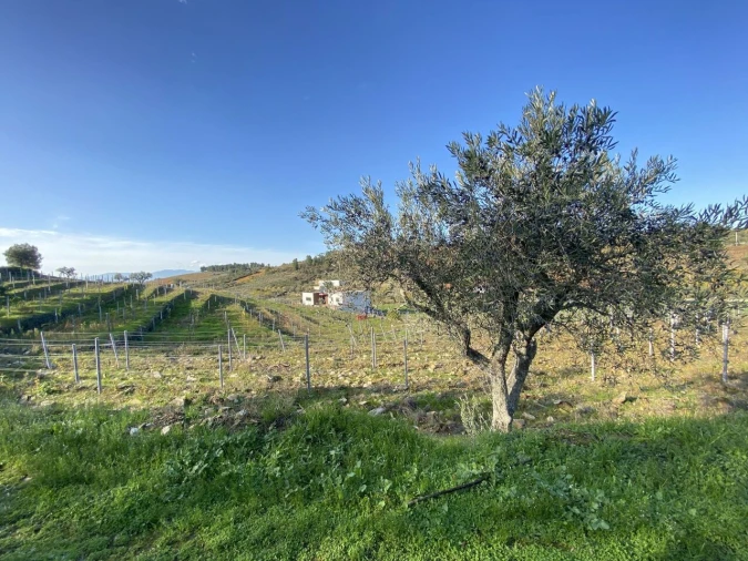 Moradia T3 para Venda em Barcos e Santa Leocádia Foto 28