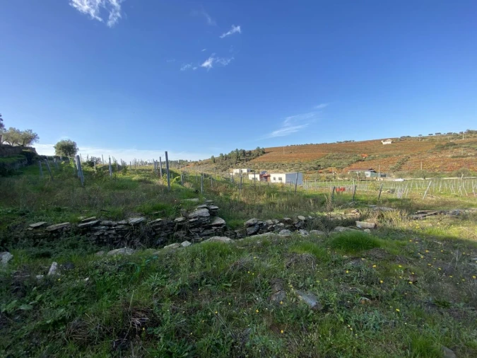 Moradia T3 para Venda em Barcos e Santa Leocádia Foto 29