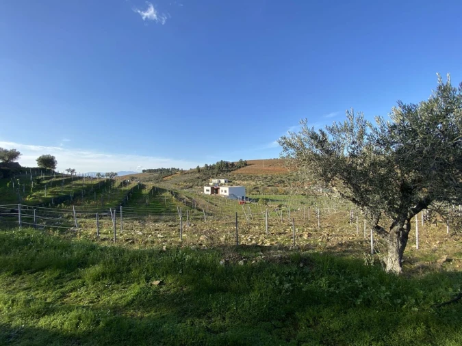 Moradia T3 para Venda em Barcos e Santa Leocádia Foto 30