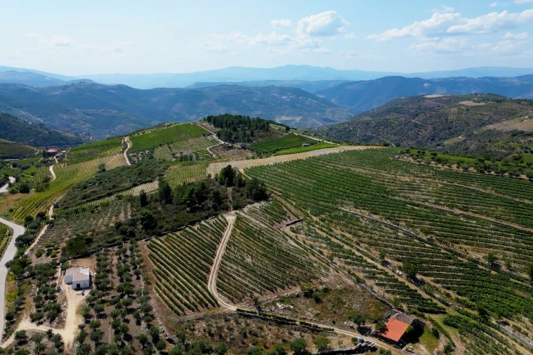 Moradia T3 para Venda em Barcos e Santa Leocádia Foto 36