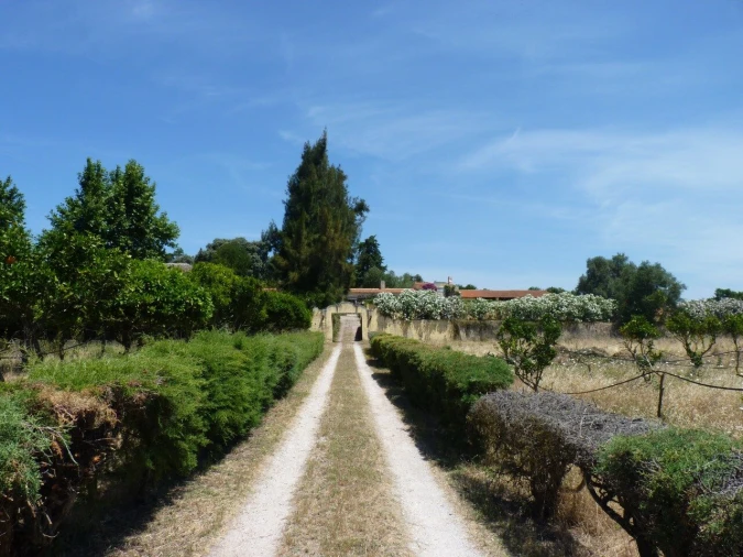 Quinta T12 para Venda em União das Freguesias de Setúbal Foto 18