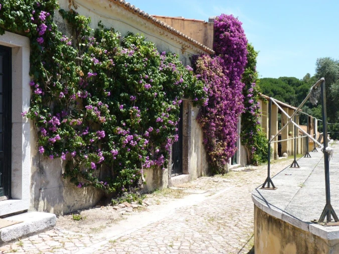 Quinta T12 para Venda em União das Freguesias de Setúbal Foto 20