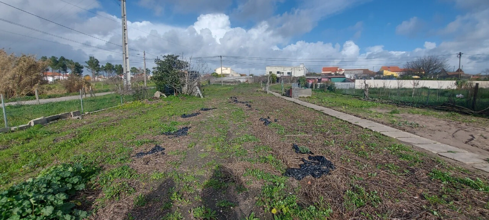 Armazém para Venda em Lavos Foto 24