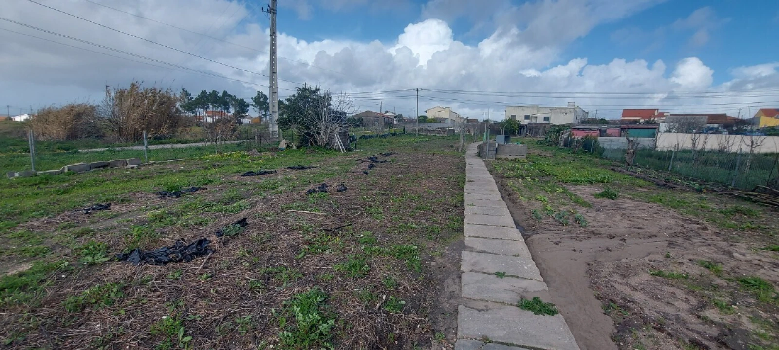 Armazém para Venda em Lavos Foto 25