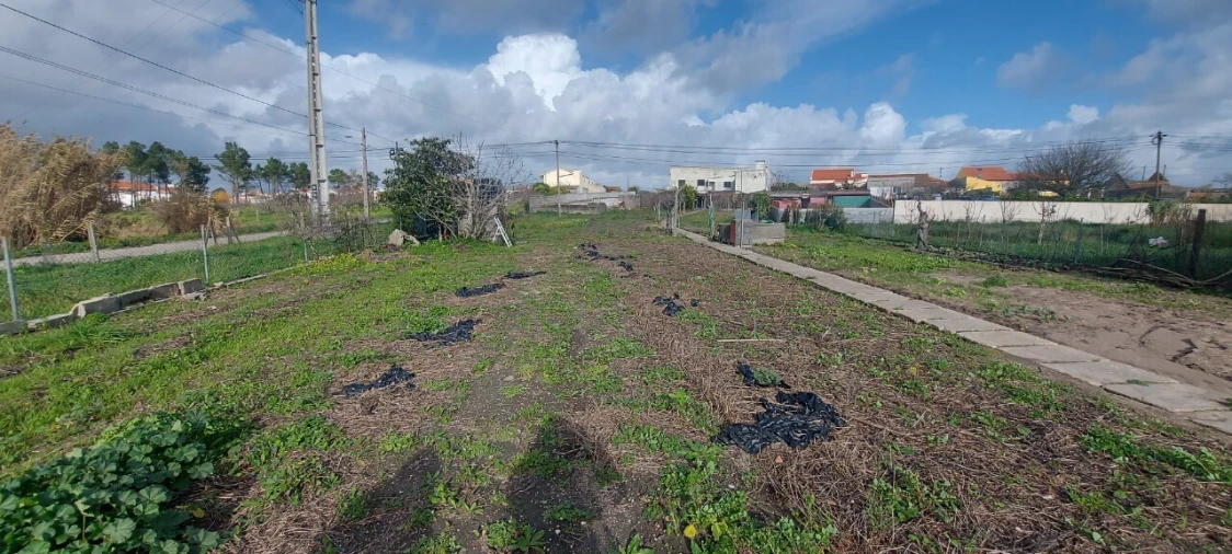 Armazém para Venda em Lavos Foto 24