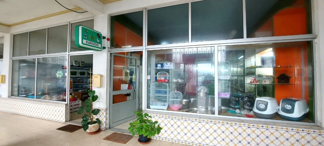 Prédio para Venda em Pombal Foto 32