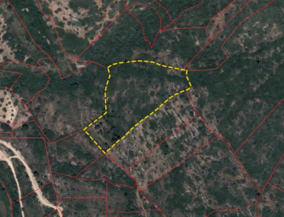 Terreno para Venda em Alvados e Alcaria Foto 3