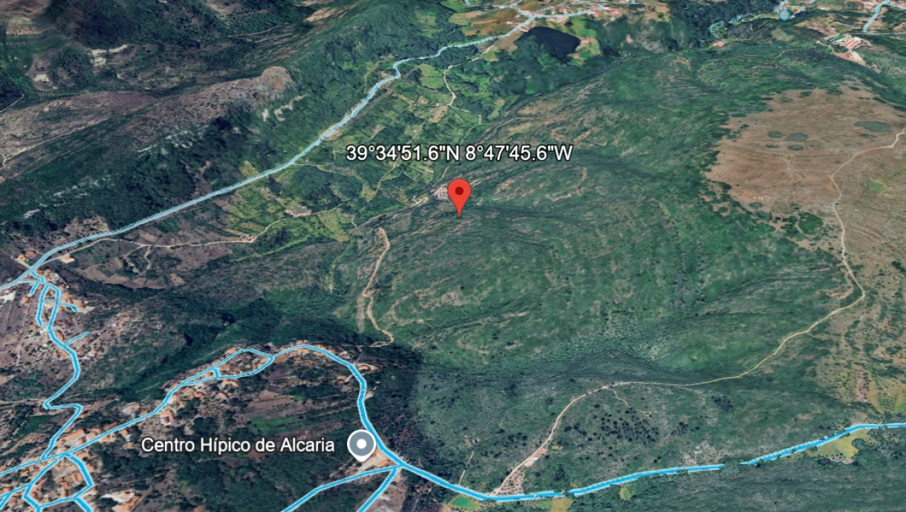 Terreno para Venda em Alvados e Alcaria Foto 1