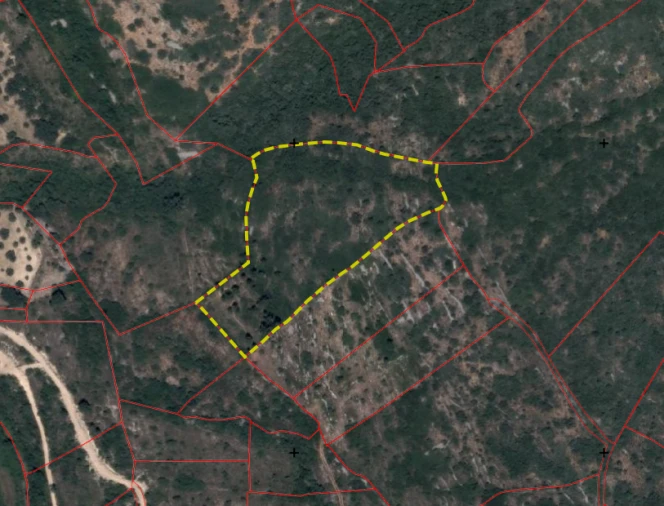 Terreno para Venda em Alvados e Alcaria Foto 3