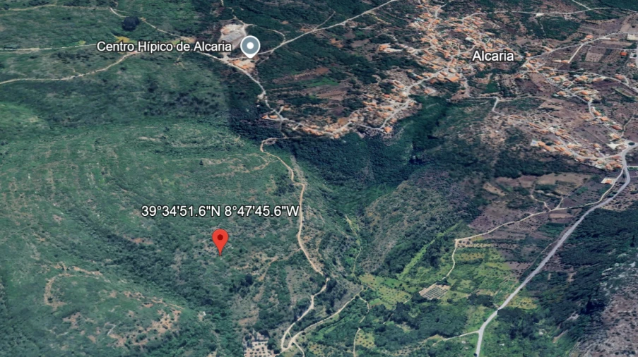 Terreno para Venda em Alvados e Alcaria Foto 6