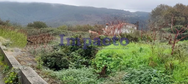 Terreno para Venda em O. Azeméis, Riba-Ul, Ul, Macinhata Seixa, Madail