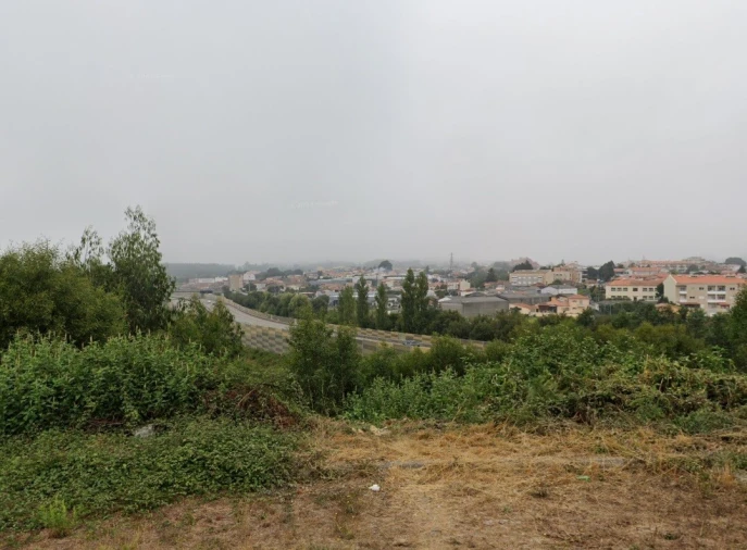 Terreno para Venda em Santa Maria de Lamas Foto 2