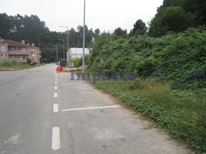 Terreno para Venda em Vila de Cucujães Foto 8