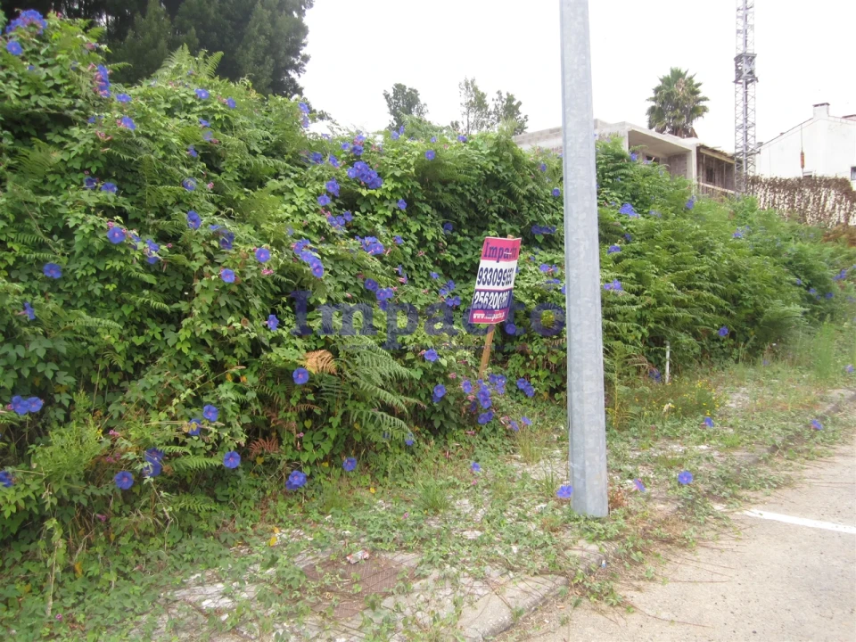 Terreno para Venda em Vila de Cucujães Foto 5