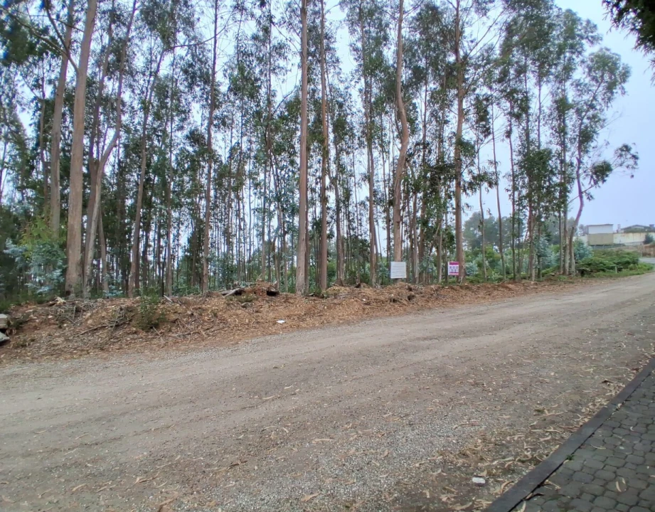 Terreno para Venda em Escapães Foto 2