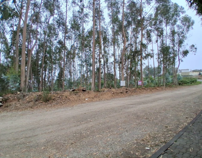 Terreno para Venda em Escapães Foto 2