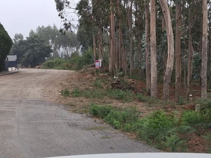 Terreno para Venda em Escapães Foto 3