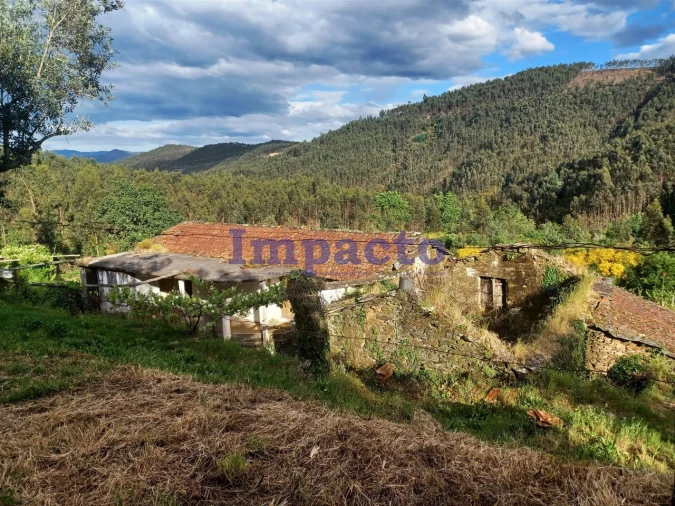 Moradia T0 para Venda em Fermedo Foto 2