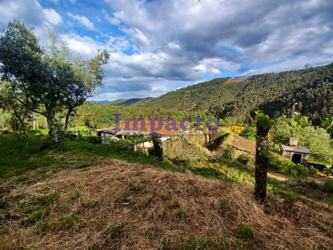 Moradia T0 para Venda em Fermedo Foto 5