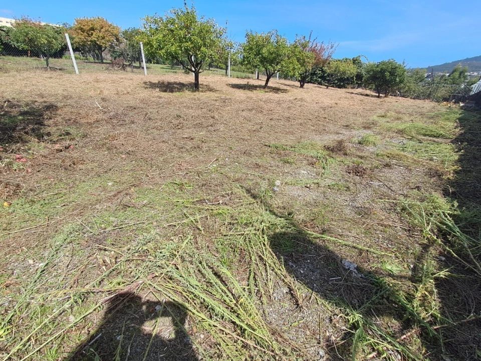Armazém para Arrendamento em São João da Madeira Foto 21