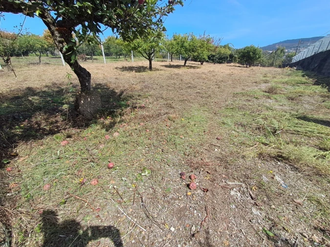 Armazém para Arrendamento em São João da Madeira Foto 20