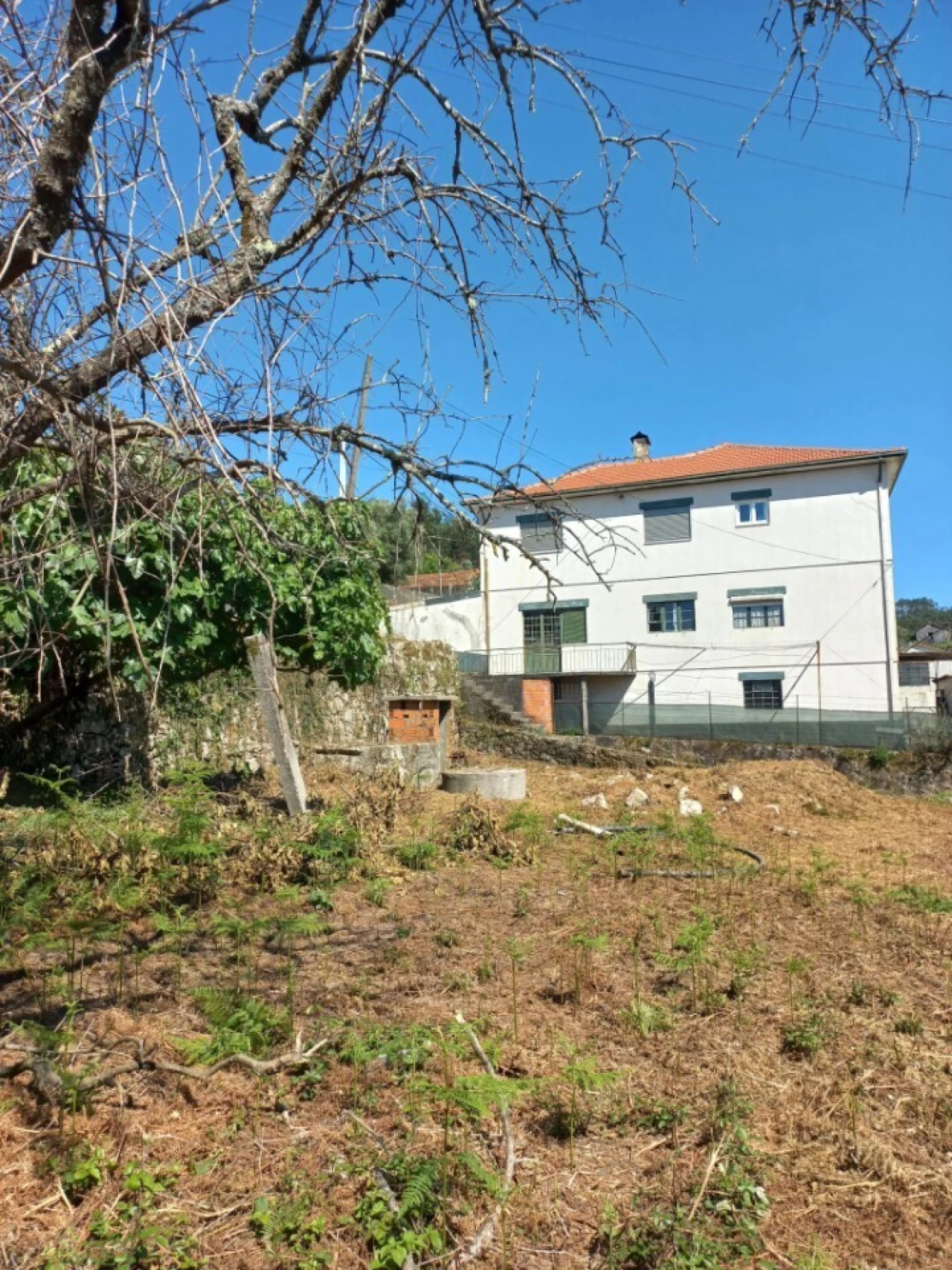 Terreno para Venda em Escariz Foto 9