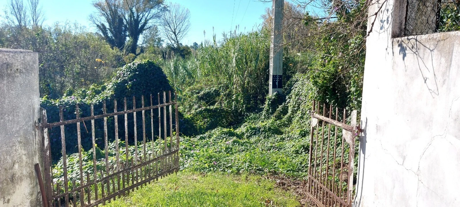 Terreno para Venda em Sé Nova, Santa Cruz, Almedina e São Bartolomeu Foto 1