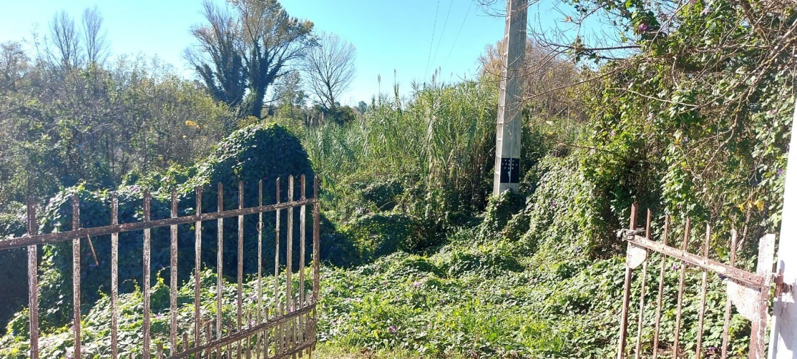 Terreno para Venda em Sé Nova, Santa Cruz, Almedina e São Bartolomeu Foto 9