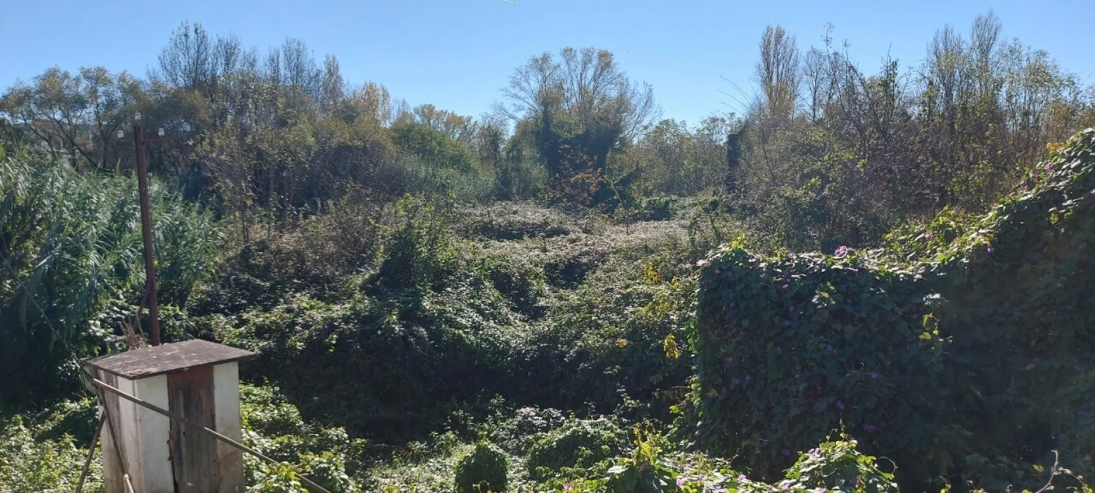 Terreno para Venda em Sé Nova, Santa Cruz, Almedina e São Bartolomeu Foto 11