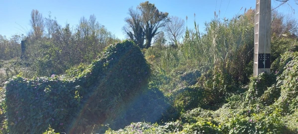 Terreno para Venda em Sé Nova, Santa Cruz, Almedina e São Bartolomeu