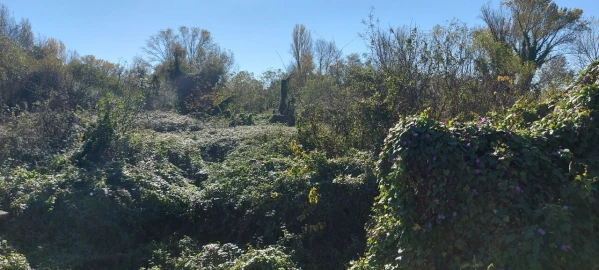 Terreno para Venda em Sé Nova, Santa Cruz, Almedina e São Bartolomeu