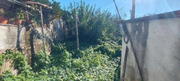 Terreno para Venda em Sé Nova, Santa Cruz, Almedina e São Bartolomeu