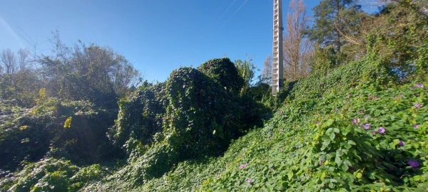 Terreno para Venda em Sé Nova, Santa Cruz, Almedina e São Bartolomeu