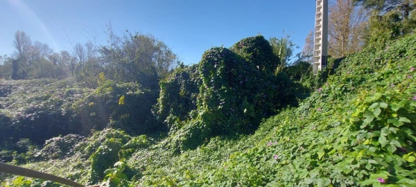 Terreno para Venda em Sé Nova, Santa Cruz, Almedina e São Bartolomeu