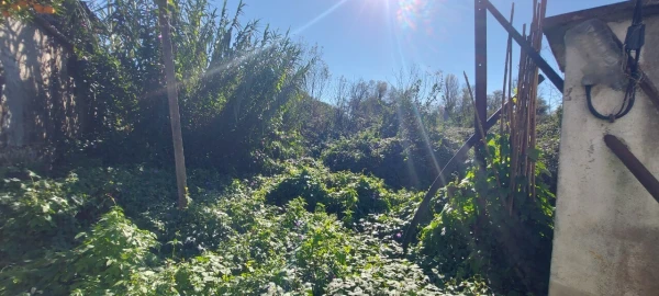 Terreno para Venda em Sé Nova, Santa Cruz, Almedina e São Bartolomeu