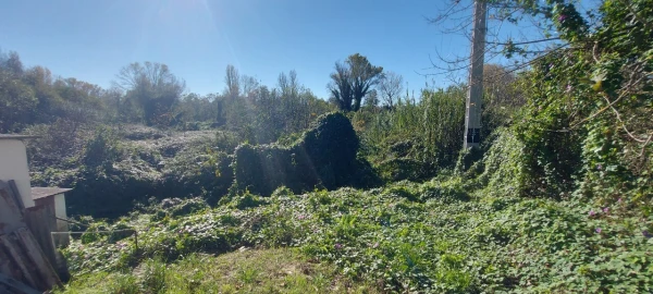 Terreno para Venda em Sé Nova, Santa Cruz, Almedina e São Bartolomeu